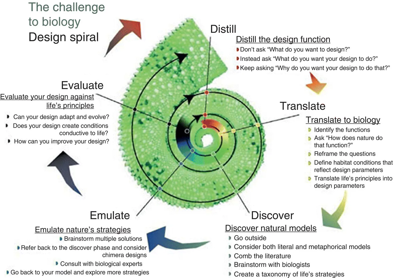 Diagram of the design spiral with arrows starting from “distill’ to “translate,” to “discover,” to “emulate,” leading to “evaluate.”