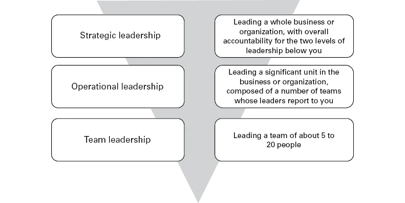 A figure that shows three levels of leadership.