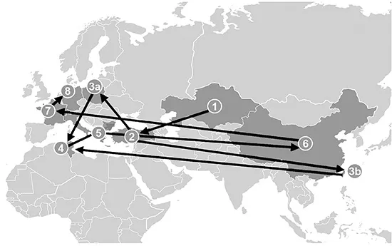 An image shows a complex transportation market routes against the backdrop of a world outline map. The network map is marked from 1 to 7, connecting different countries.