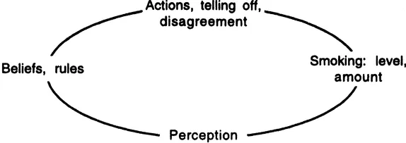 Figure 1.1. A simple cybernetic system