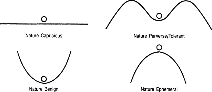 Figure 2. The four primary myths of nature