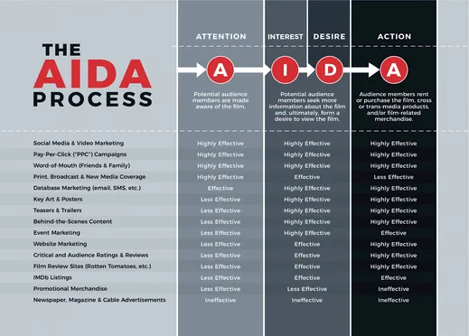 FIGURE 1.2 AIDA. (Robert G. Barnwell/Sandy O. Cagnan)