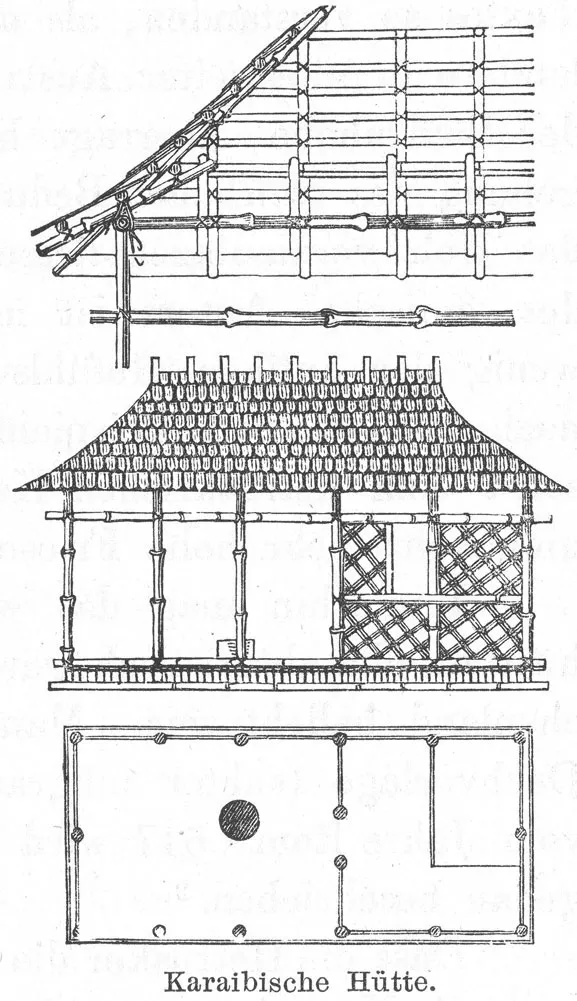 Figure 4 Semper’s Carib hut.