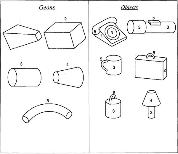 Figure 1.2 Geon components and their relations. (Left) A given view of an object can be represented as an arrangement of simple primitive volumes, or geons, of which five are shown here. (Right) Only two or three geons are required to uniquely specify an object. The relations among the geons matter, as illustrated with the pail and cup.