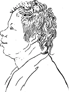 FIGURE 1.1 Fool in Profile. J. C. Lavater (1879). Essays in physiognomy (Plate II, Figure 2, p. 34a, Holocroft, 16th ed.). London: William Tegg.