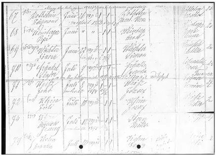 Miskolc birth registry from 1873, with entry “Fraenkel, Sandor” courtesy Judit Meszaros