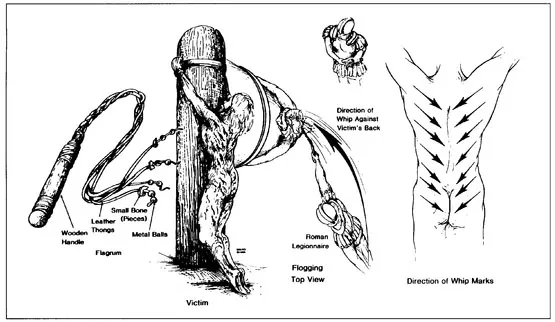 Figure 2: A Roman flogging as reconstructed by W .D. Edwards, W.J. Gabel, and F. E. Hosmer (Journal of the American Medical Association, 1986).