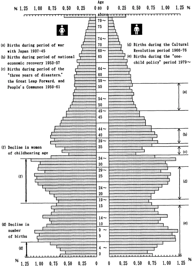 FIGURE 2.1 Population Pyramid from the October 1, 1995, Census (1 percent sampling) Source: China Statistical Yearbook 1996, p.72.