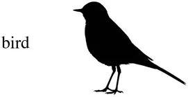 IMAGE 1.2Gallinago_media / Shutterstock