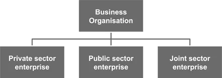 Figure 1.1 Classification of business organisations