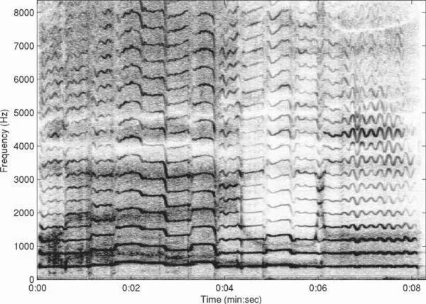 Fig. 1.3 Spectrogram of “Alleluia” from the Liber Usualis sung by a female cantor. (Kosmicki 2005; DVD references 3–6)