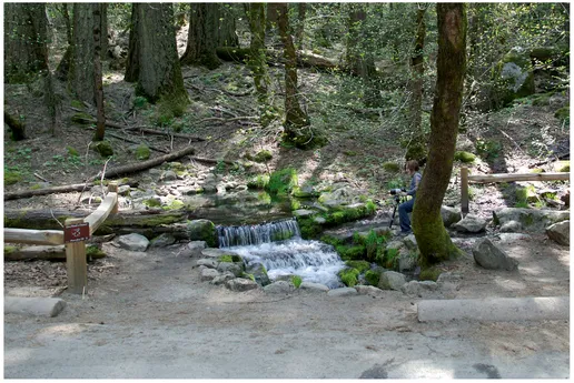 FIGURE 2 A snapshot of a small waterfall in Yosemite National Park.