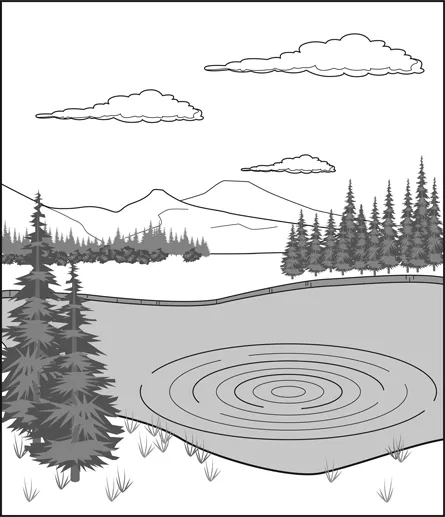 FIGURE 1.1 The waves resulting from a stone dropping into a pond radiate outward, as do sound waves from a point source in air, only in three dimensions, not two.