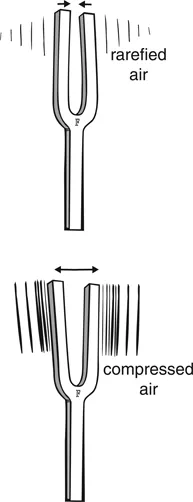 FIGURE 1.3 The tines of a tuning fork oscillate back and forth, causing the nearby air to be alternately rarefied and compressed.