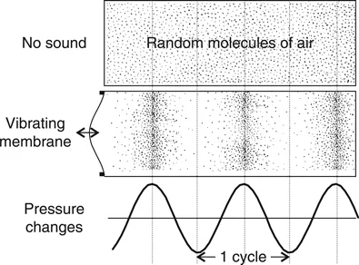 FIGURE 1.4 Sound is the organized pressure changes above and below ambient pressure caused by a stimulating vibration, such as a loudspeaker.