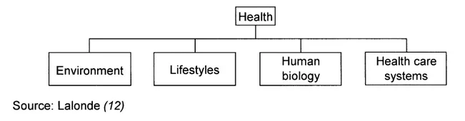 Fig. 1.1. The factors determining health