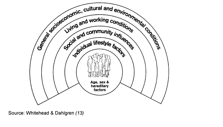 Fig. 1.2. The main determinants of health