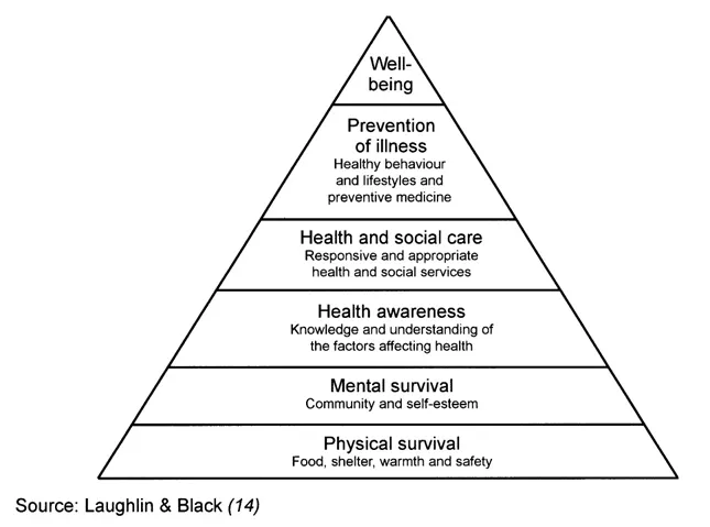 Fig. 1.3. The health gradient