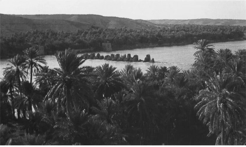 Figure 1:2 The Euphrates at Ana looking east. In the river, piers of a medieval bridge link the right bank to the island; on each side brown cliffs rise above the date palms, flanking the valley.