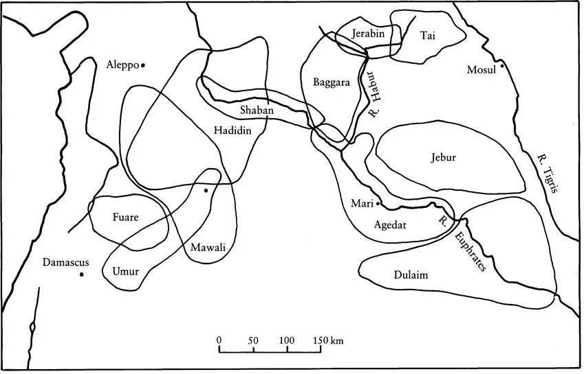 Figure 1:3 Traditional grounds of sheep-rearing tribes in Syria and North Mesopotamia. (After Wirth 1971, Karte 11)