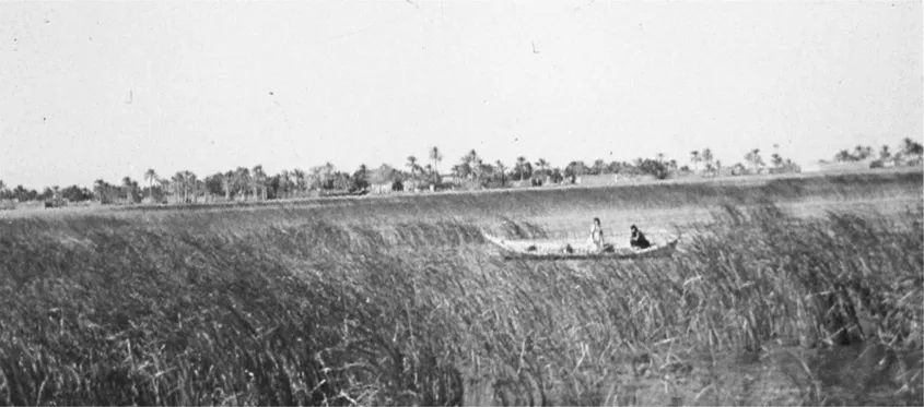 Figure 1:4 The marshes of the Tigris–Euphrates delta.