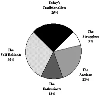 FIG. 1.1. Subgroups of the baby boomer generation. Data from 1998 AARP/Roper Baby Boomer Study (N = 2,001).