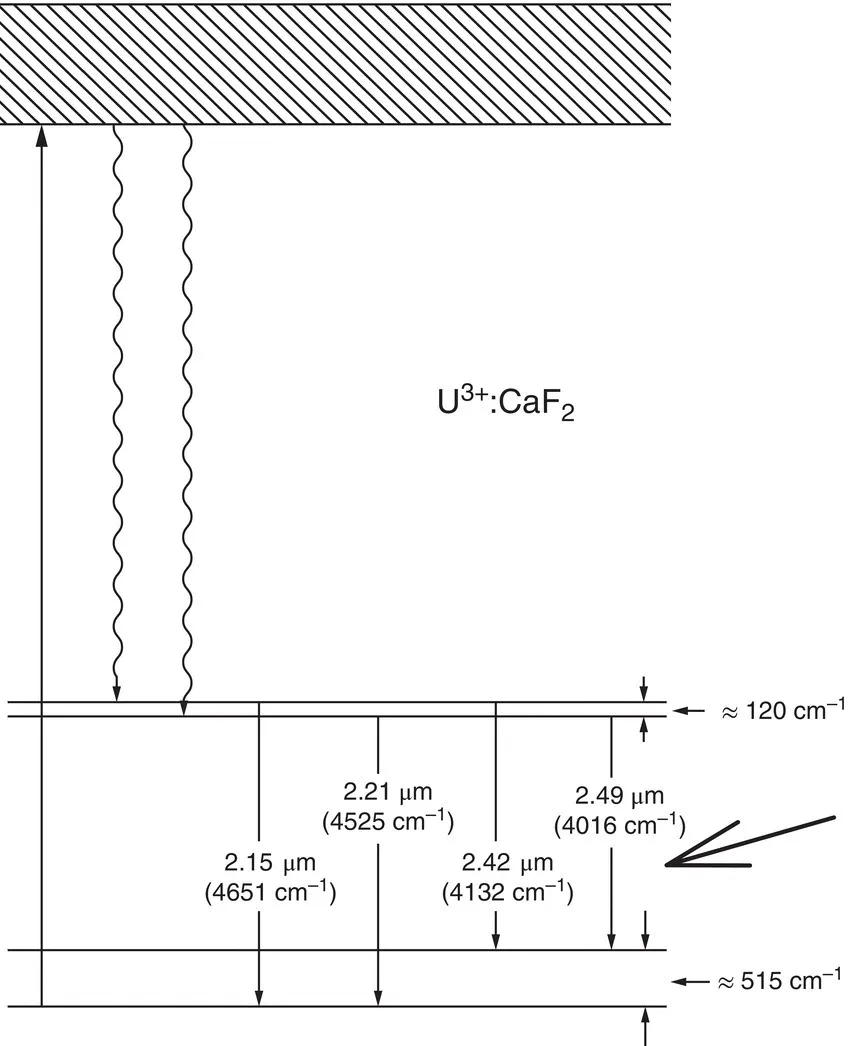 Image described by caption and surrounding text.