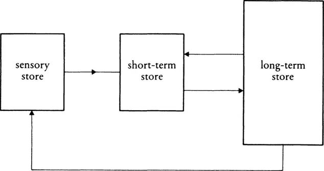 Figure 1.2 The ‘multistore’ model of memory.