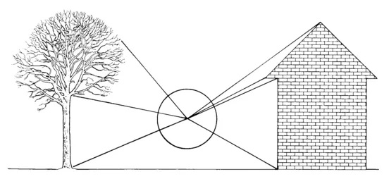 FIGURE 1.3
Section through the optic array at a point above the ground in an environment containing objects. The optic array is divided into segments through which light arrives after reflection from different surfaces. Each segment has a different fine structure (not shown) corresponding to the texture of each surface.