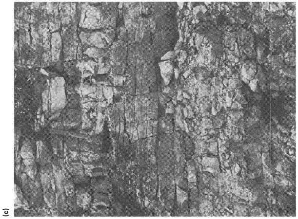 Figure 2.1 Different types and sizes of voids in rock. (a) Photograph taken with an electron microscope (an electron photomicrograph) of sandstone of Permian age from a borehole in Cumbria, England. The porosity is 31%. (b) Electron photomicrograph of chalk from a borehole in Berkshire, England, showing the minute fossils and shell fragments that make up the chalk. The porosity is 46% but the small size of the pores means that in the absence of fissures the permeability is low. (c) Pore space resulting from fissures in limestone of Jurassic age (Great Oolite) in a quarry in the Cotswold Hills, England. Such fissures contribute most of the permeability of this aquifer, (d) A fissure which has been greatly enlarged by solution in Jurassic (Inferior Oolite) limestone, Cotswold Hills, ((a) and (b) are reproduced by permission of the Director, British Geological Survey.)