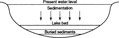Figure 1.1 Sedimentation on a lake bottom. As sediment accumulates on the lake bed, older sediments are slowly buried by younger deposits.