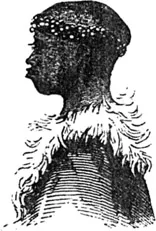 Figure 1.1 Bosjeman, or Yellow African Race