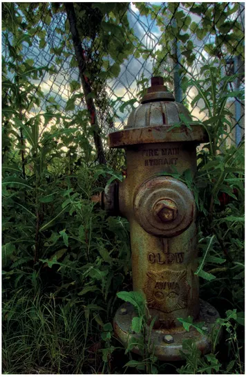 FIGURE 1.9 Even a simple fire hydrant sitting among the overgrown weeds of an abandoned construction site can make a good subject for urban decay photography. Nikon D2H with Sigma 17–35 mm f/2.8–4 at 17 mm (25 mm equivalent). 1/100 sec. @ f/5.6 ISO 200