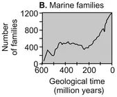 Figure 1.1 Pattern of life diversification for the last 600 million years. Source: Redrawn from Benton (13).
