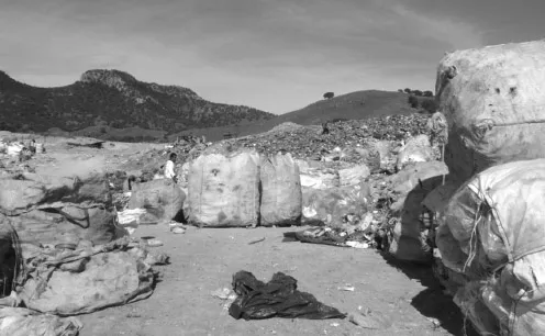 FIGURE 1.1 Recyclable waste accumulated by scavenging activities in a municipally managed landfill in Guadalajara, Jalisco, Mexico.
