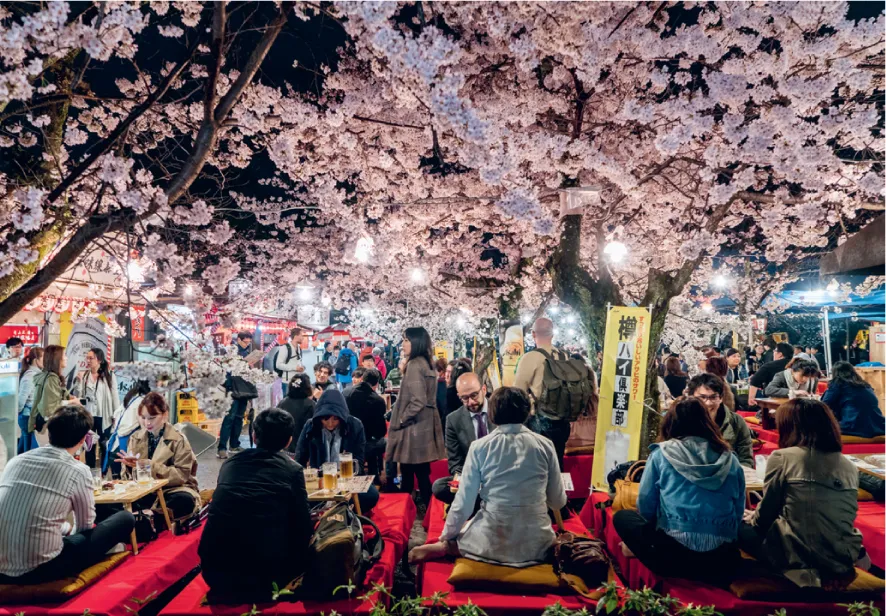 Photo of an evening party in the park underneath cherry trees in blossom