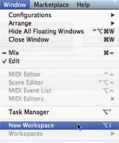 Figure 1.1 Choosing a new Workspace from the Windows menu