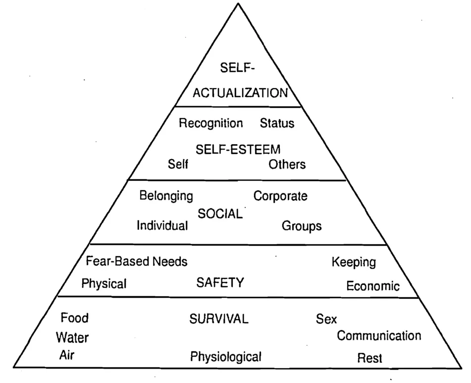 FIGURE 1.1. Maslow's Hierarchy of Needs