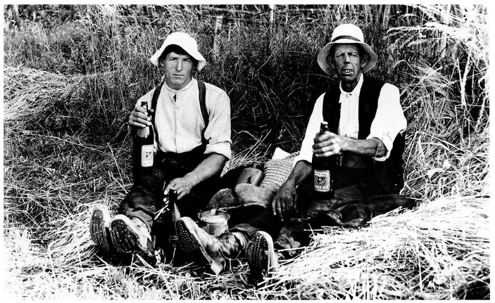 FIGURE 1.1 â™¦ Eating in the open. Harvesters at their 'bever' (a drink and snack, from the Old French beivre): this could be only one of four or five breaks for refreshment during a long day in the fields (late nineteenth century). Source: Rural History Centre, University of Reading.