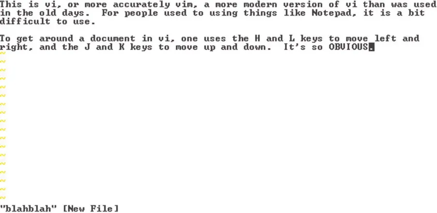 Figure 2.1 vim, a work-alike descendant of vi.