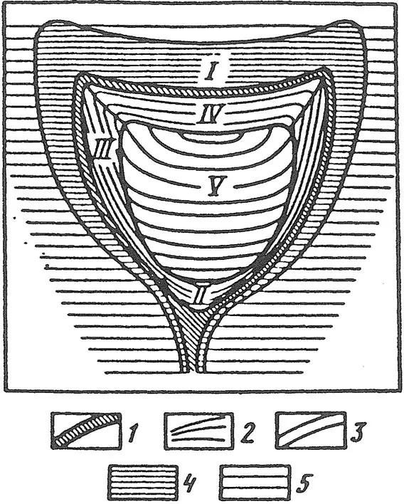 fig1_3_B.webp