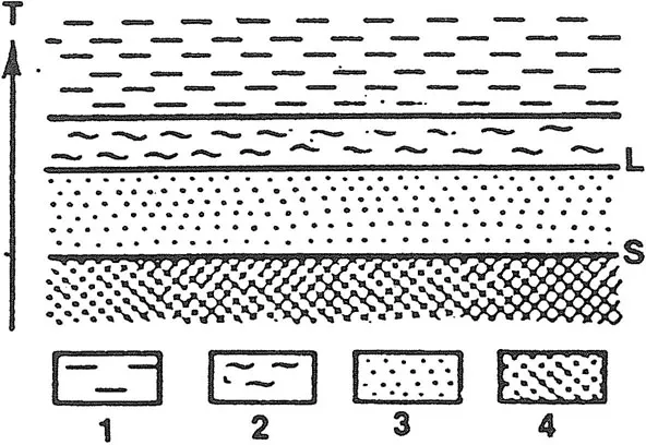 fig1_4_B.webp