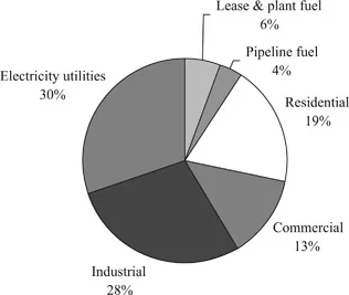 Figure 2.2 Composition of natural gas consumption by end-user (United States, 2014), percentage