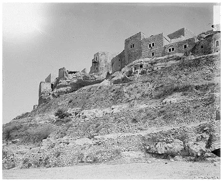 Figure 1.4b. Unidentified village in Palestine c. 1900. (Source: Library of Congress, LC-DIG-matpc-10543; photo: American Coloby)