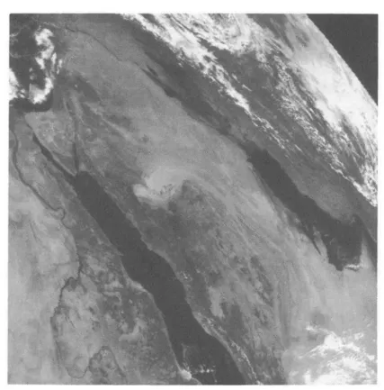 Figure 2. Meteosat image acquired on 10 February 1991, showing smoke plumes from Kuwait's oil well fires just west of the Arabian Gulf