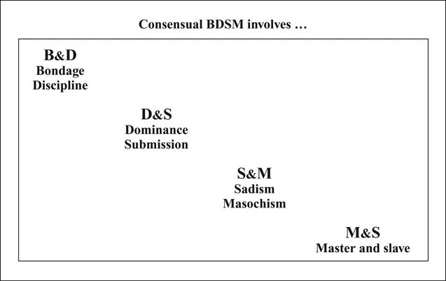 Figure 2.1 Defining what the acronyms mean in consensual BDSM.