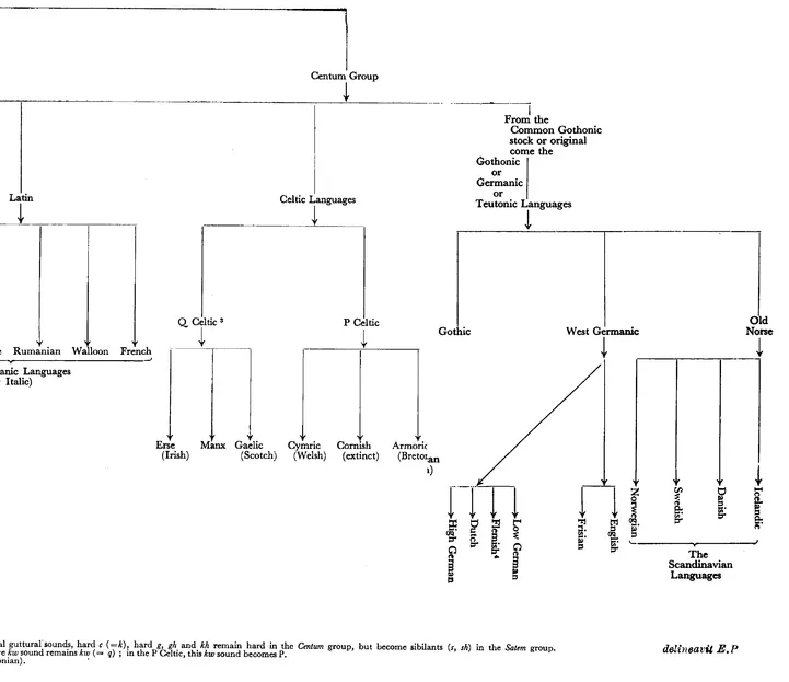 II. THE INDO-EUROPEAN (OR
ARYAN) FAMILY OF LANGUAGES