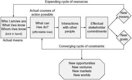 Figure 1.1 The stakeholder self-selection process (the dynamics of the crazy quilt principle).