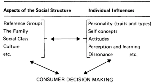 Figure 1.1: Social and Individual Factors in Consumer Choice