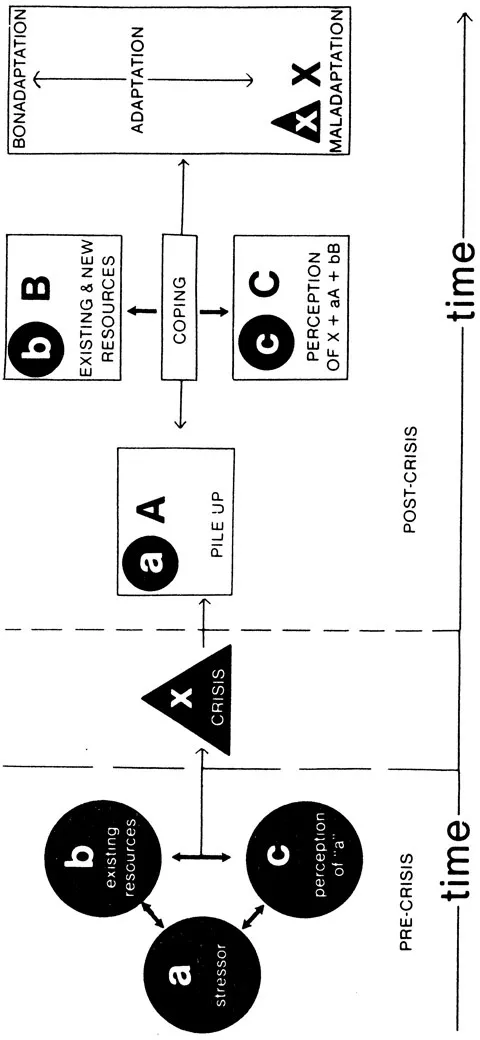 FIGURE 1. The double ABCX model